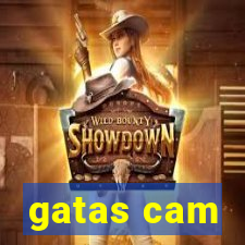 gatas cam